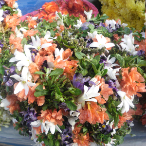 swadesh flowers