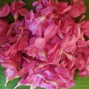 Swadesh flowers
